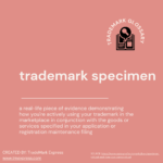 Photo inspiration: Trademark Class 18 Leather Goods Photo Inspiration