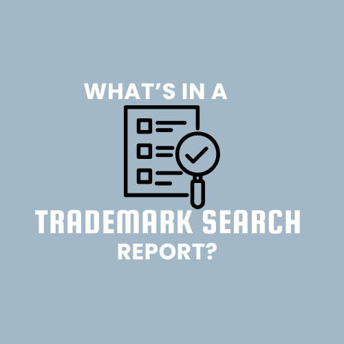 what's in a trademark search report featured image