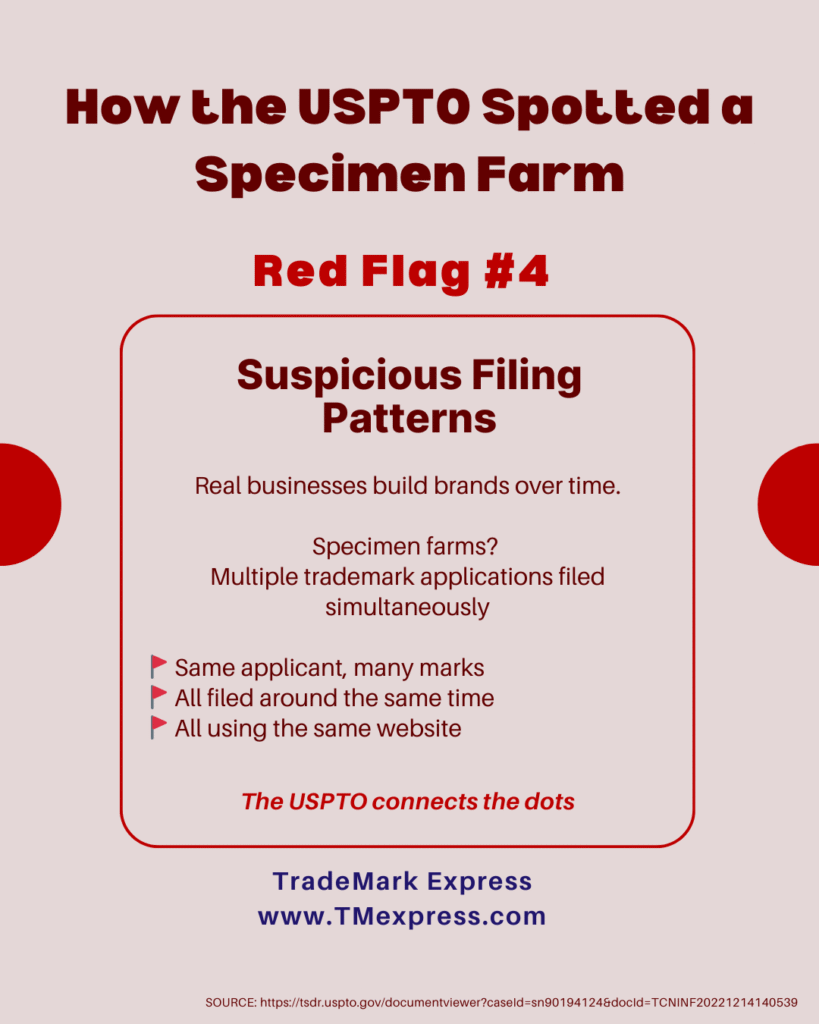 Infographic showing Red Flag #4 for trademark specimen farms: suspicious filing patterns where one applicant files multiple trademark applications simultaneously using the same website, indicating fraud rather than legitimate business activity