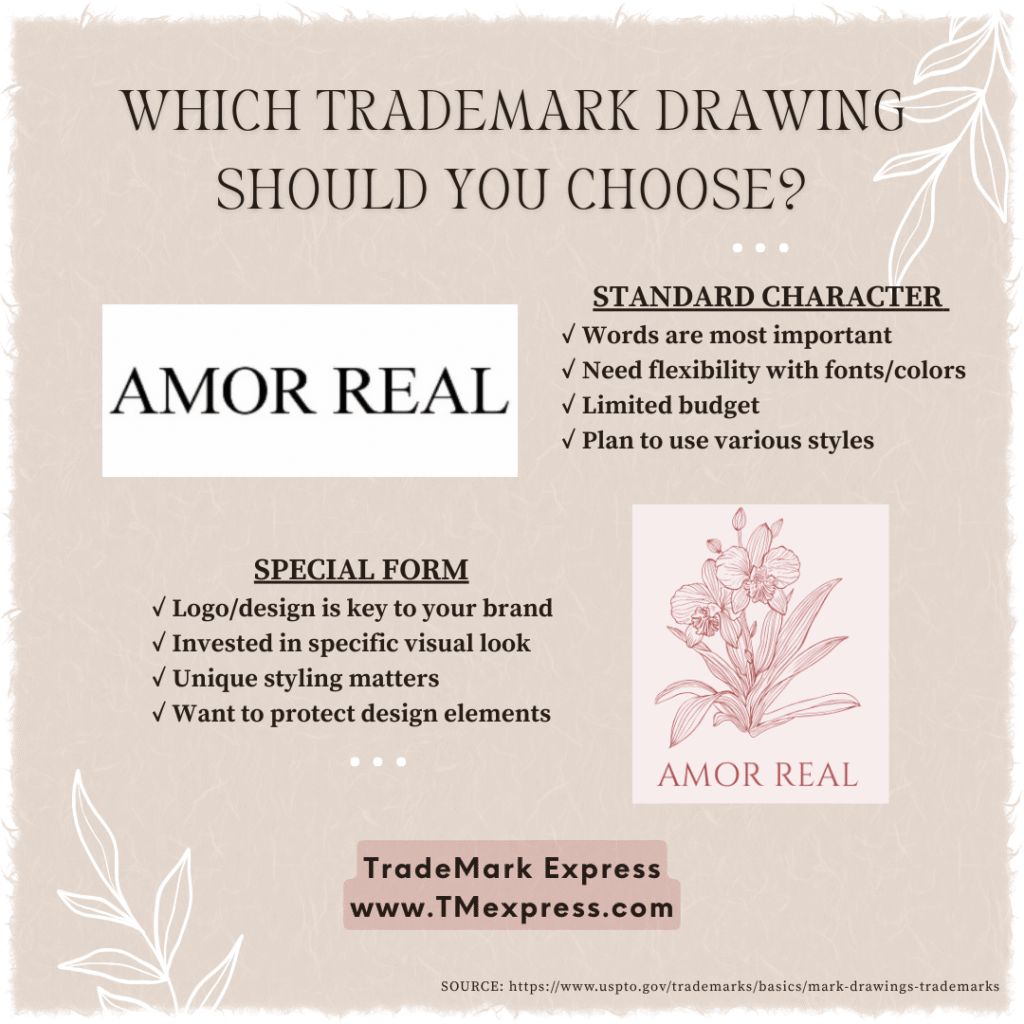 Infographic comparing standard character vs special form trademark drawings with bullet points showing when to choose each type based on business priorities and budget