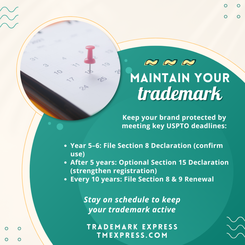 Graphic showing the timeline for maintaining a registered trademark, including Section 8, Section 15, and Section 8 & 9 renewal requirements