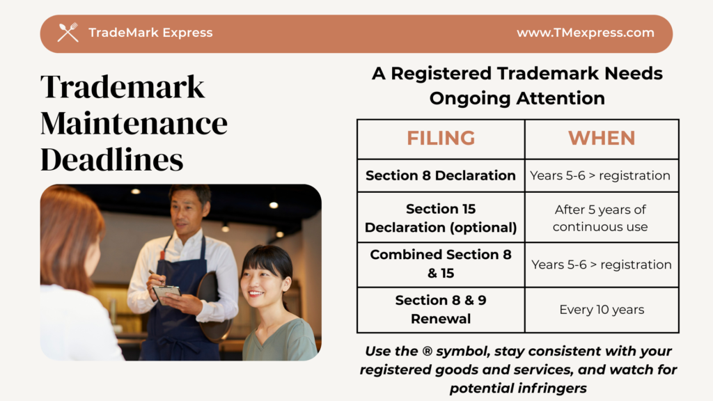 Graphic listing key USPTO trademark maintenance deadlines for registered trademark owners, including Section 8, Section 15, and Section 9 renewal filings