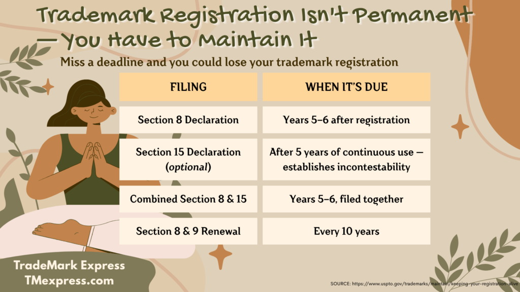 Infographic titled "Registration Isn't Permanent — You Have to Maintain It" showing a table of USPTO maintenance filing deadlines