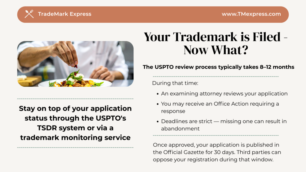 Graphic summarizing what restaurant owners should expect after filing a trademark application with the USPTO, including review timelines and the opposition period