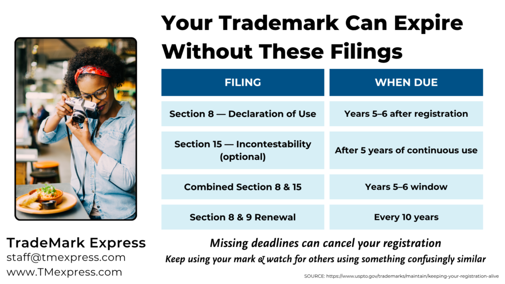 Graphic showing USPTO trademark maintenance deadlines for photography business owners to keep their registration active