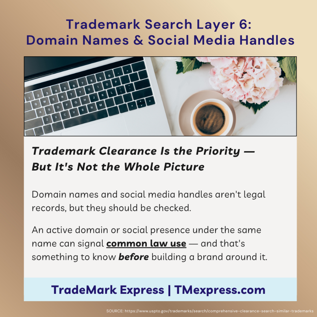 Infographic explaining that domain names and social media handles are part of broader brand due diligence beyond formal trademark records